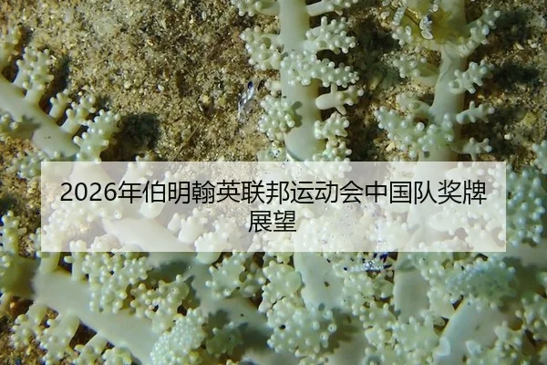 nian-bo-ming-han-ying-lian-bang-yun-dong-hui-zhong-guo-dui-jiang-pai-zhan-wang-2-389.jpg