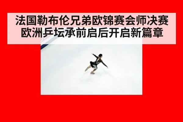 法国勒布伦兄弟欧锦赛会师决赛欧洲乒坛承前启后开启新篇章
